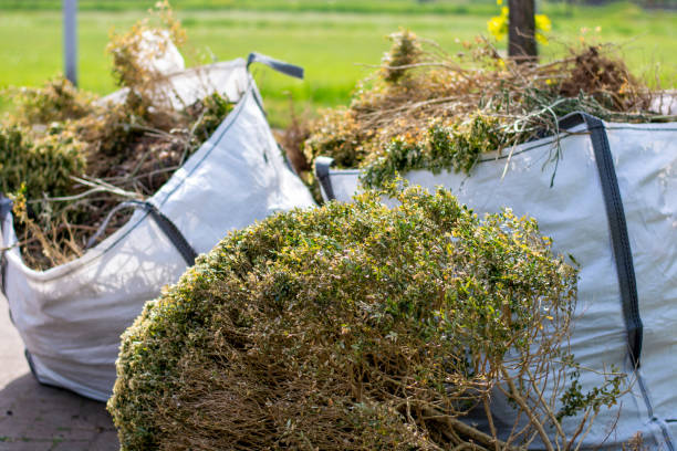 Best Shed Removal  in Kadelphia, AR